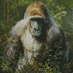 silverback