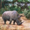 The Last Grazing
